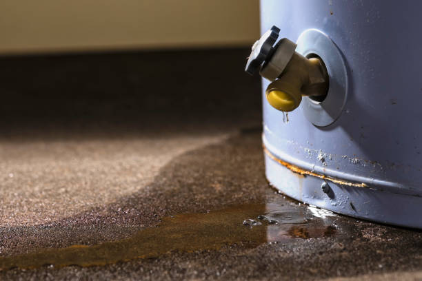 Best Basement water damage restoration  in Bidwell, OH