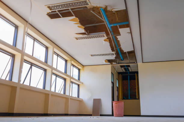 Best Fire Damage Restoration  in Bidwell, OH