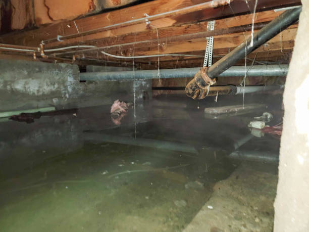 Best Residential water damage restoration  in Bidwell, OH