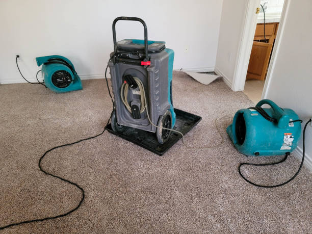Best Water damage restoration company  in Bidwell, OH