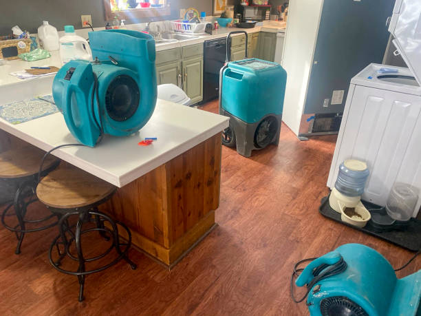 Best Local water damage restoration  in Bidwell, OH