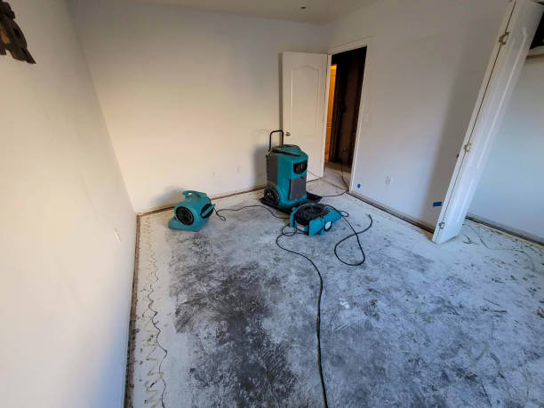 Best Flood damage cleanup  in Bidwell, OH