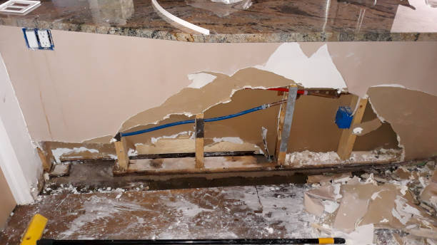 Best Mold removal after water damage  in Bidwell, OH