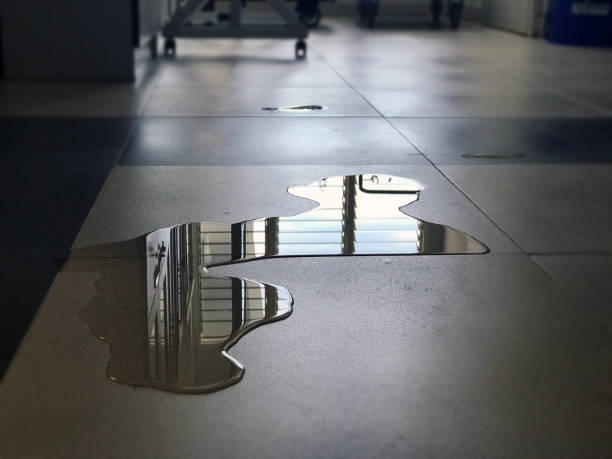 Water damage restoration experts in Bidwell, OH