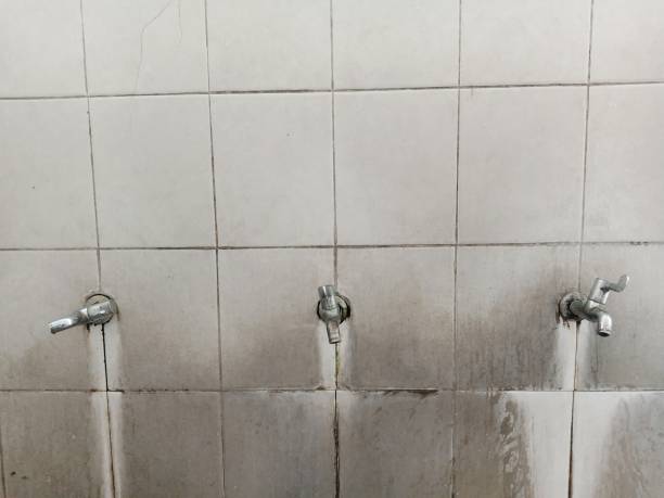 Best Water damage restoration cost  in Bidwell, OH