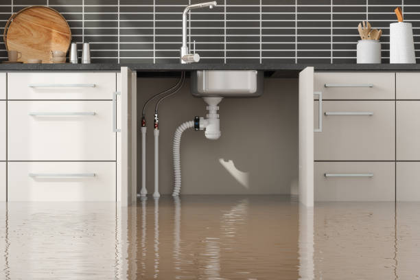 Best Water damage restoration process  in Bidwell, OH