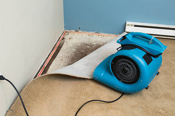 Best Water damage cleanup near me  in Bidwell, OH